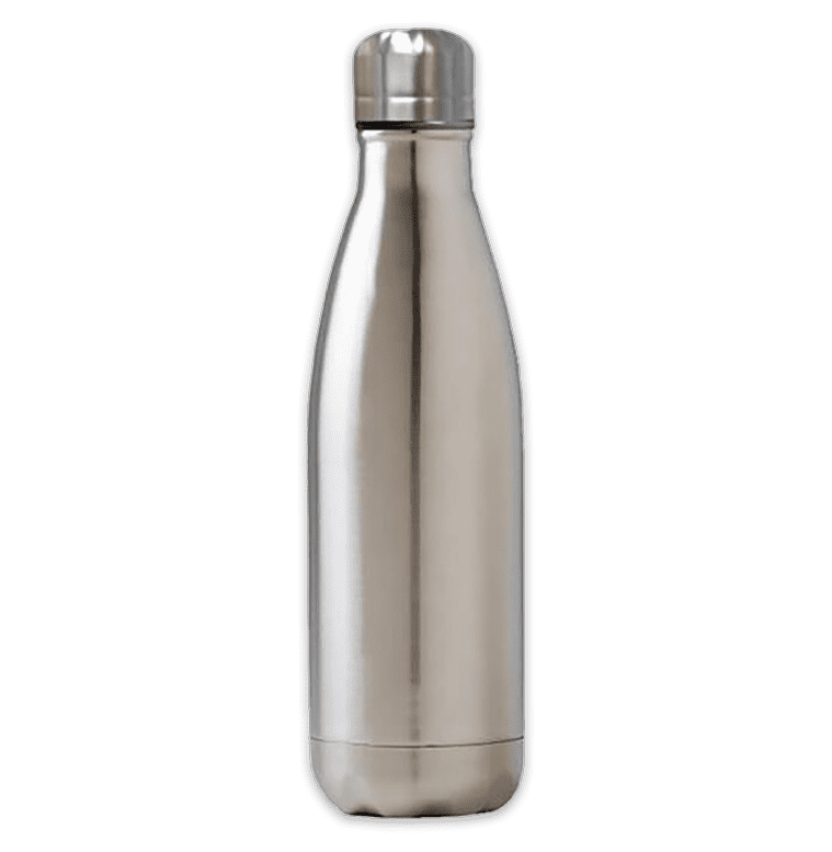 Vacuum Bottle Silver