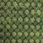 Carbonium Gold/Green